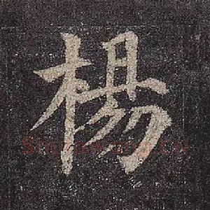 杨
