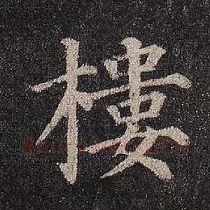 楼