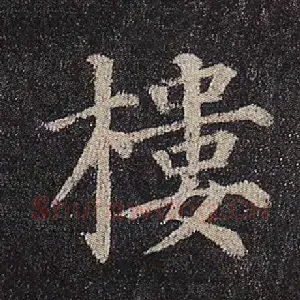 楼