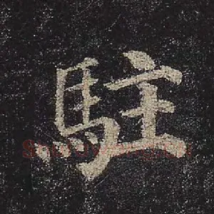 驻