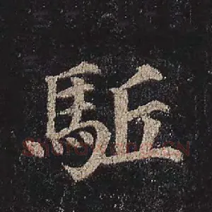 駈