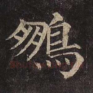 鹏