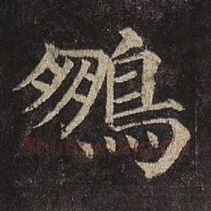 鹏