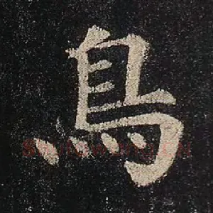 鸟