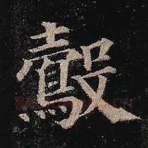 鷇