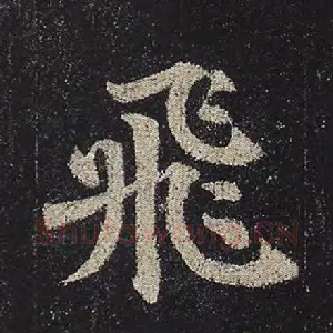 飞