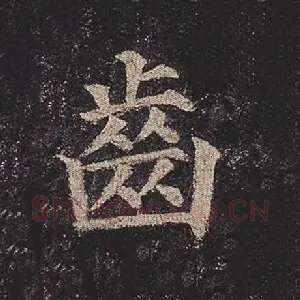 齿
