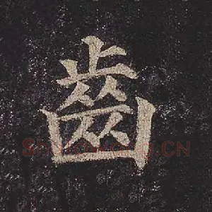 齿