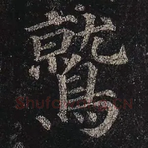 鹫