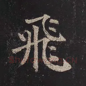 飞