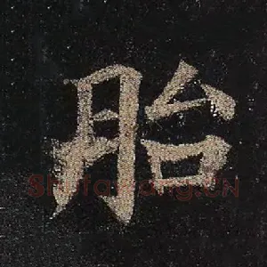 胎