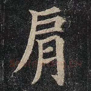 肩