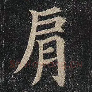 肩