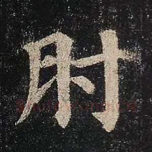 肘