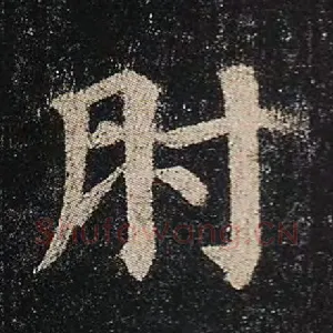 肘