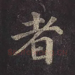 者
