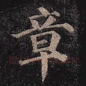 章