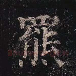羆
