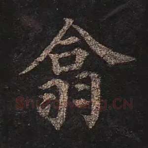 翕