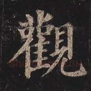 观