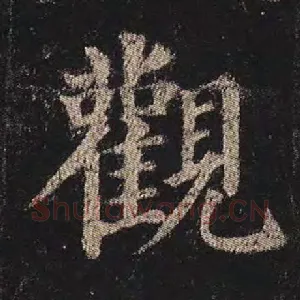 观