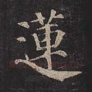 莲
