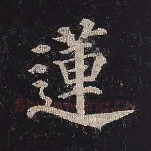 莲