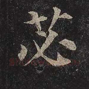 苾