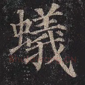 蚁