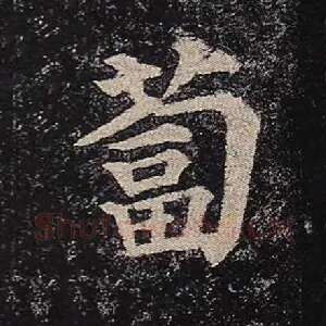 蔔