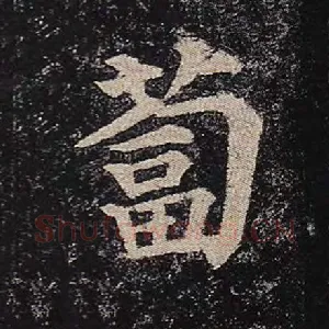 蔔