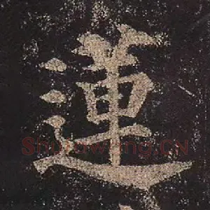 莲