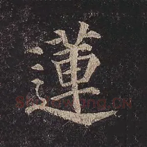 莲