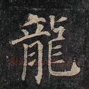龙