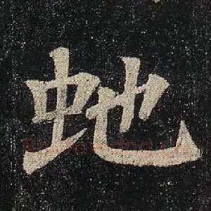 蛇
