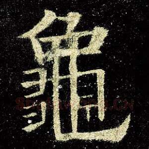龟