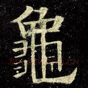 龟