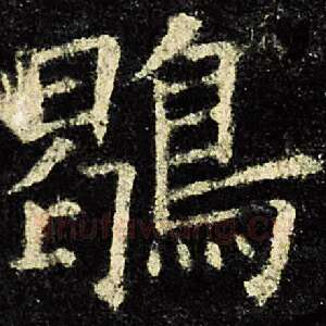 鹖