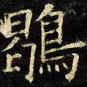 鹖