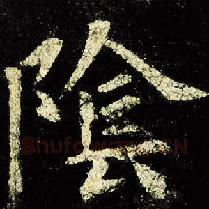 阴