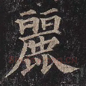 丽