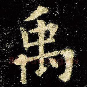 禹