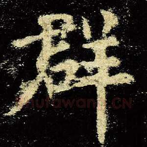 群