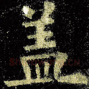 盖