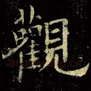 观