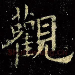观