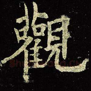 观