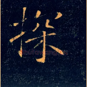 探