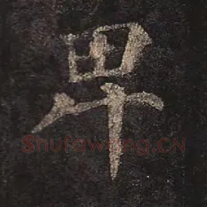 卑