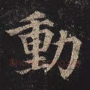 动